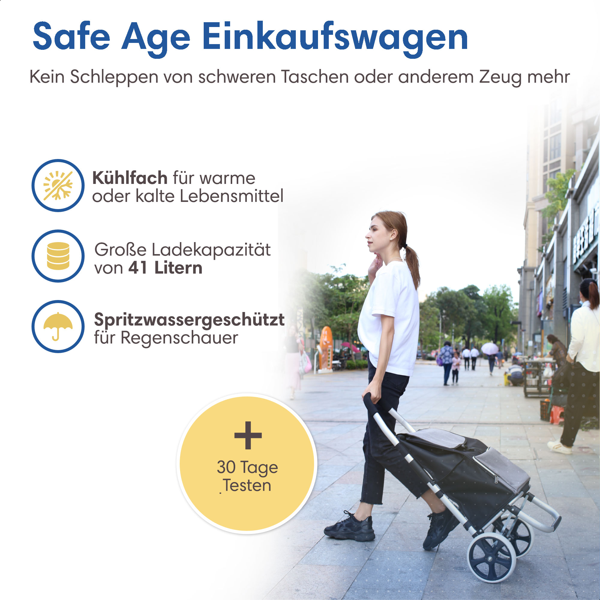 Einkaufswagen